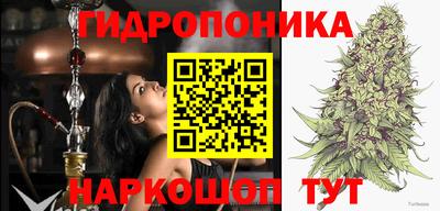 СК Нальчик