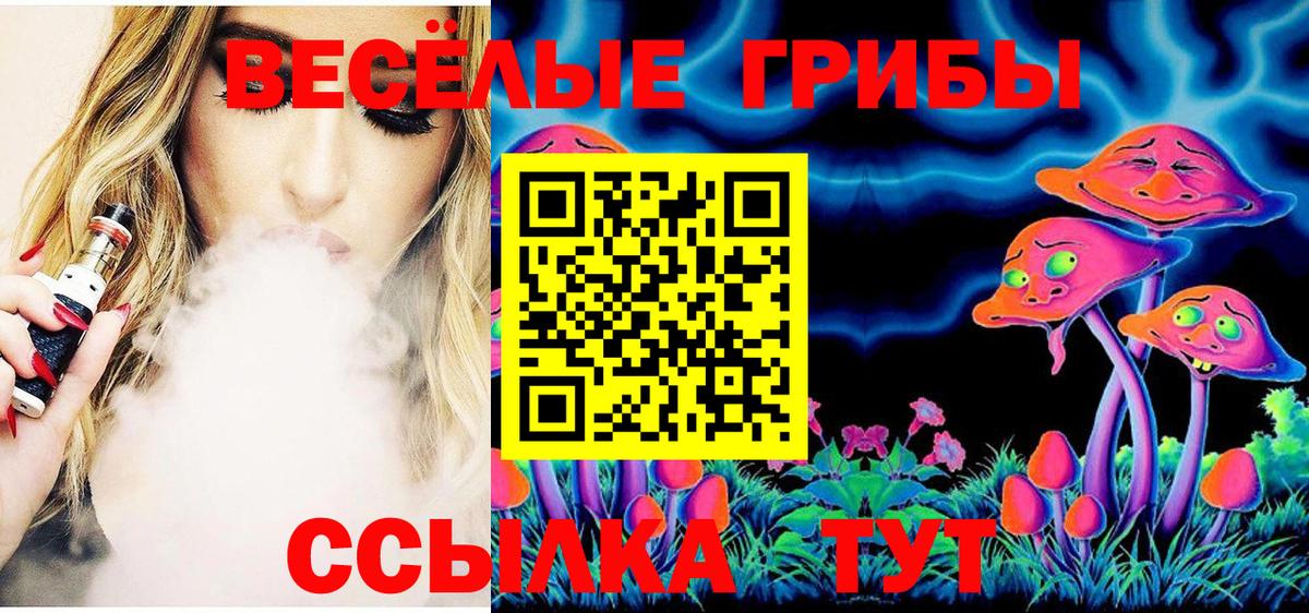 Галлюциногенные грибы Magic Shrooms Химки